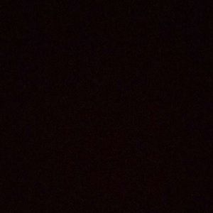 Meet your Posher, Tyree